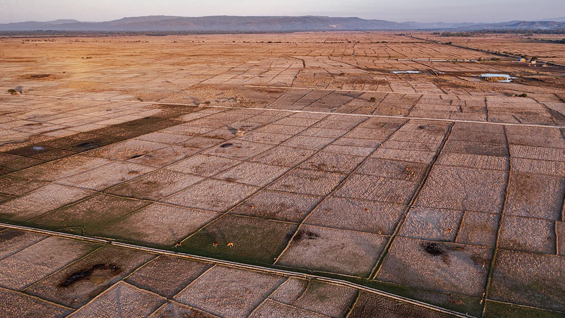 Dried up farmland in Indonesia.